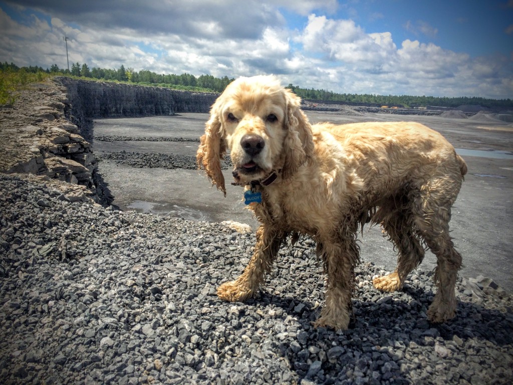 On Top Of The World!
