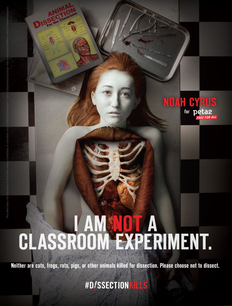 Miley Cyrus’ little sister, Noah Cyrus, might only be 15, but she’s already following in her sister’s provocative footsteps. The teen has posed as a dead body in a new ad for PETA to protest against the dissection of animals in classrooms.
