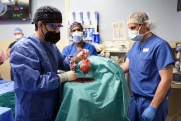 Pig Heart Transplant
