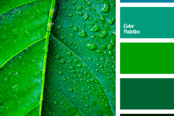 Greenery and Bright Colours