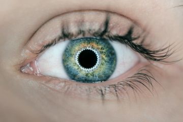 AI Eye Checks Can Predict Heart Disease Risk