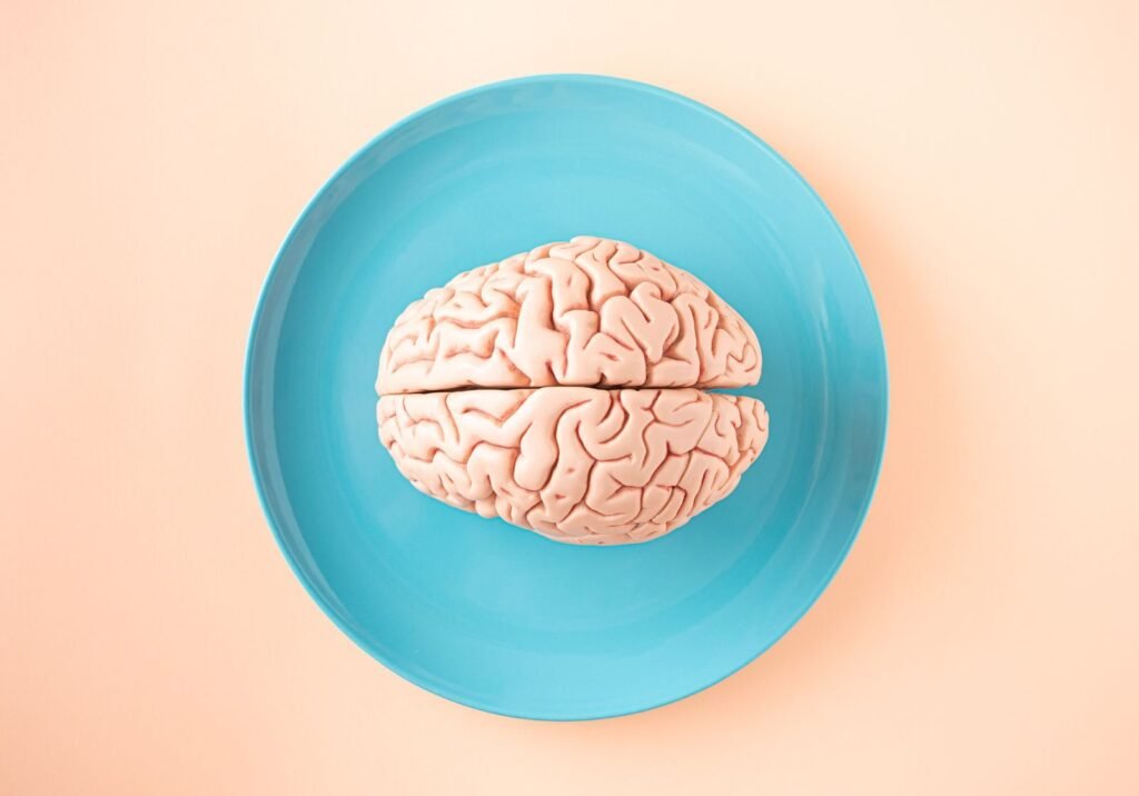 The Brain Is Actually Two Completely Separate Organs
