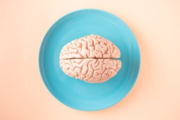 A human brain model placed on a blue plate, viewed from above against a pastel background.