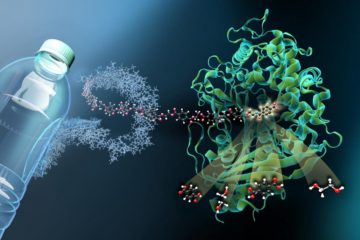 Plastic-Eating Enzyme