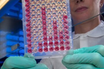 A female scientist in protective gear examines a microplate in the laboratory.