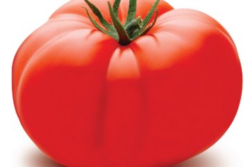 tomato