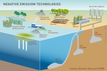Carbon Removal Project