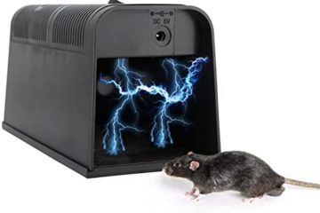 'Smart' Rat Control