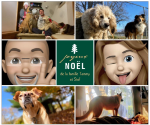 Annotation-2019-12-13-133803