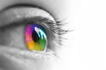 Color Perception
