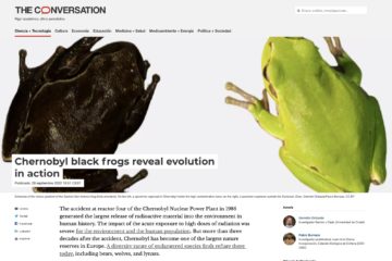 Chernobyl Black Frogs