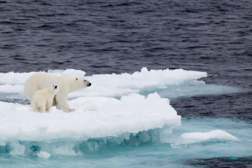 Climate Change