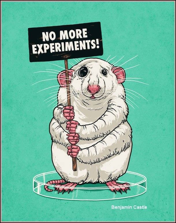 Enough Experiments!