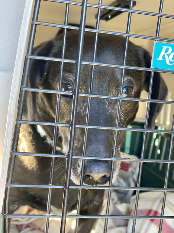 Stefan Buchholz DOT com