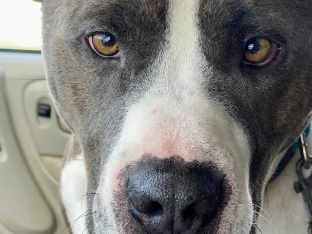 Stefan Buchholz DOT com