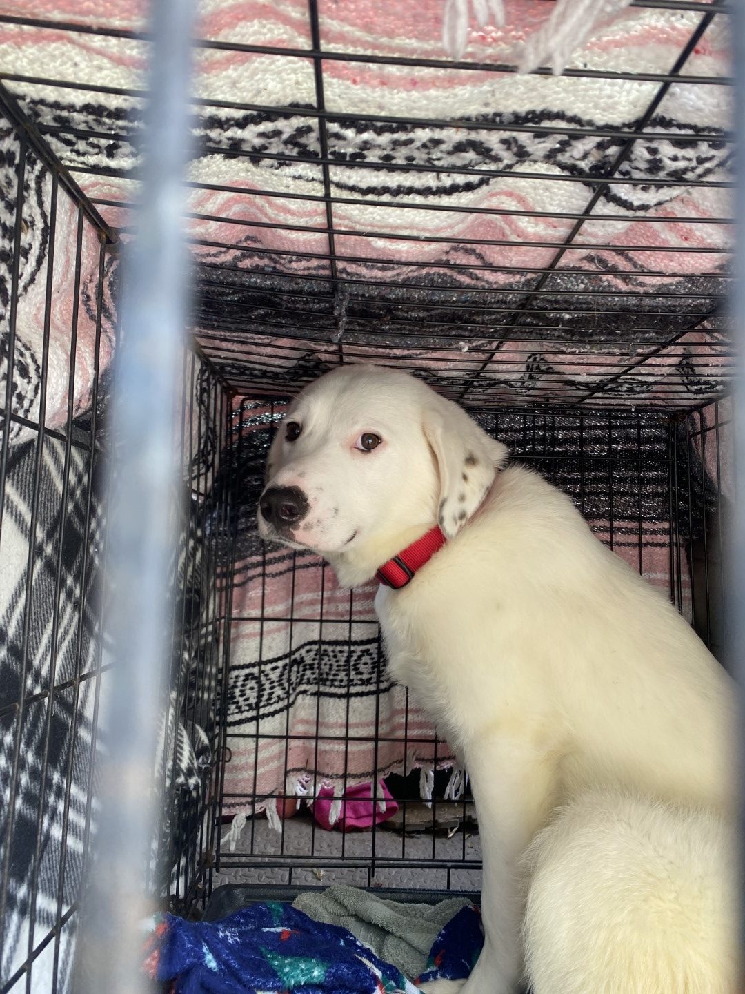 Stefan Buchholz DOT com