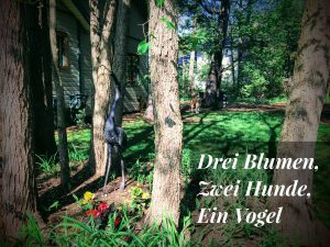 Drei Blumen, zwei Hunde, ein Vogel