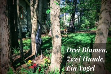Drei Blumen, zwei Hunde, ein Vogel