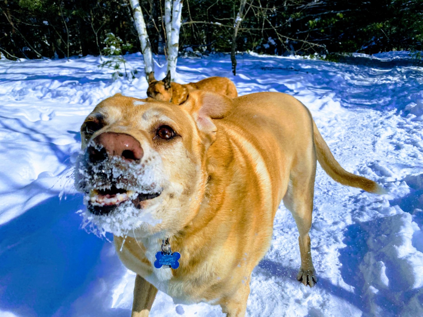 Stefan Buchholz DOT com