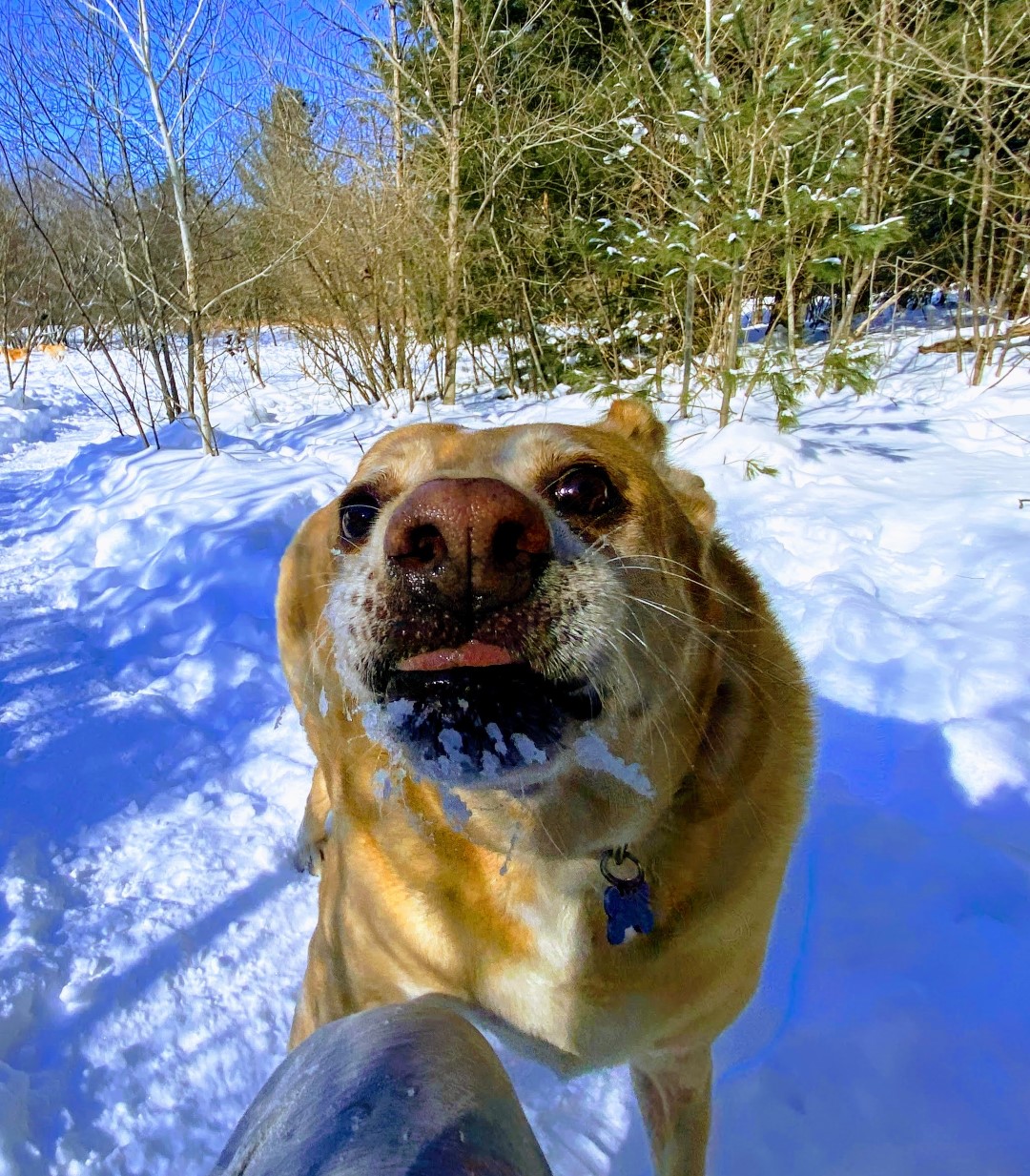 Stefan Buchholz DOT com