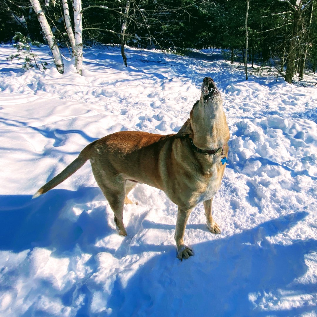 Stefan Buchholz DOT com