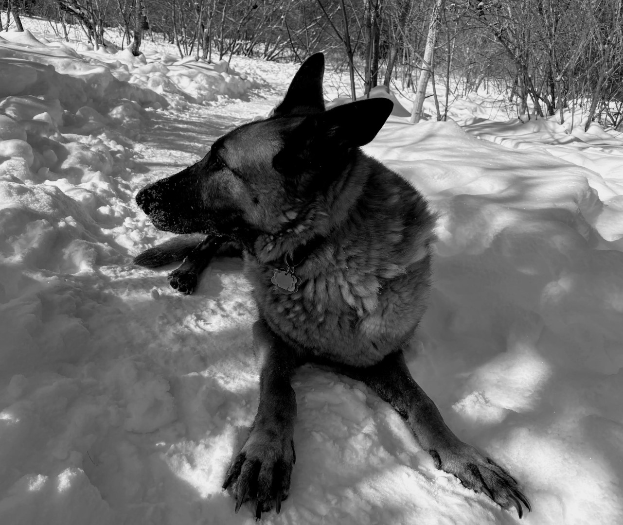 Stefan Buchholz DOT com