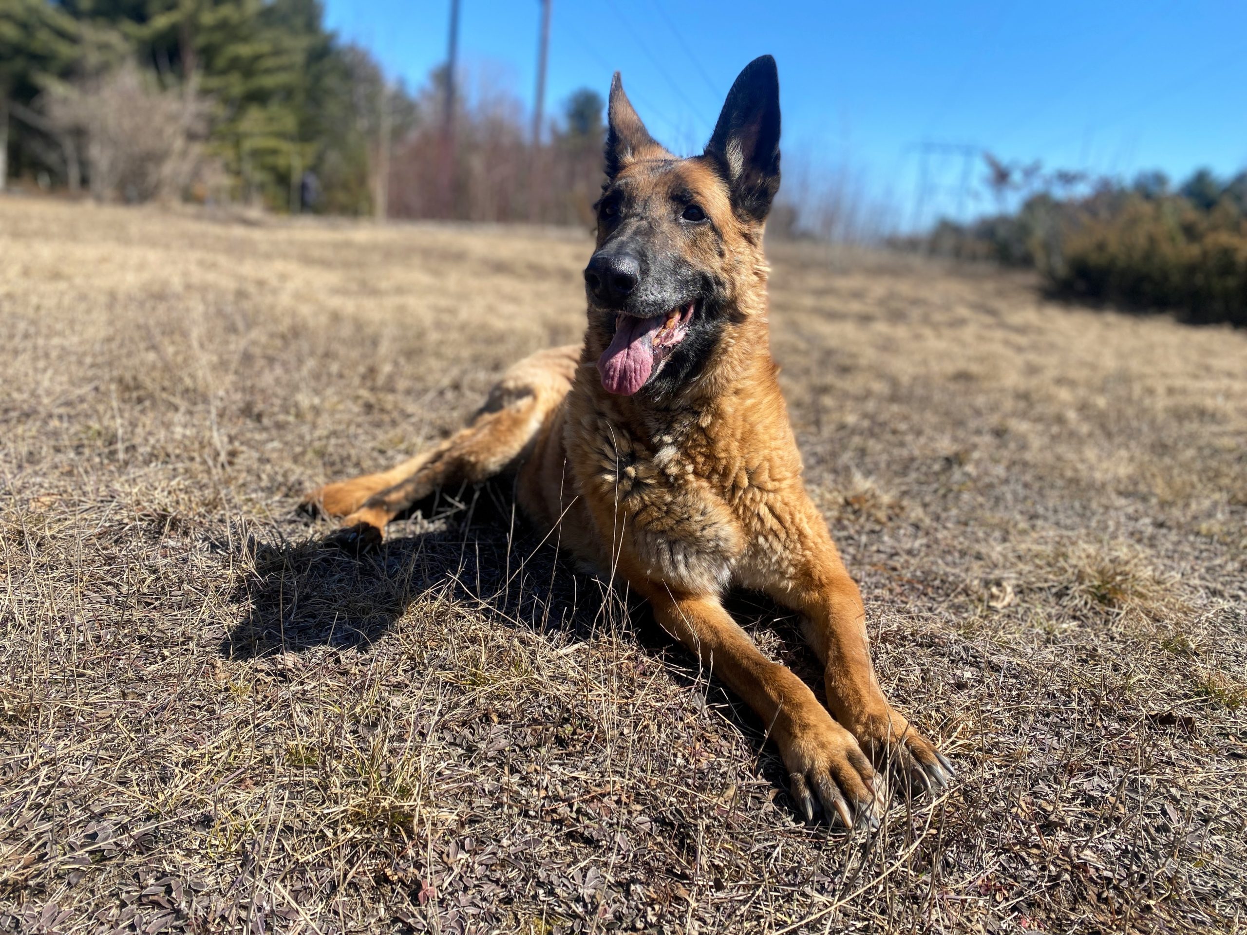 Stefan Buchholz DOT com