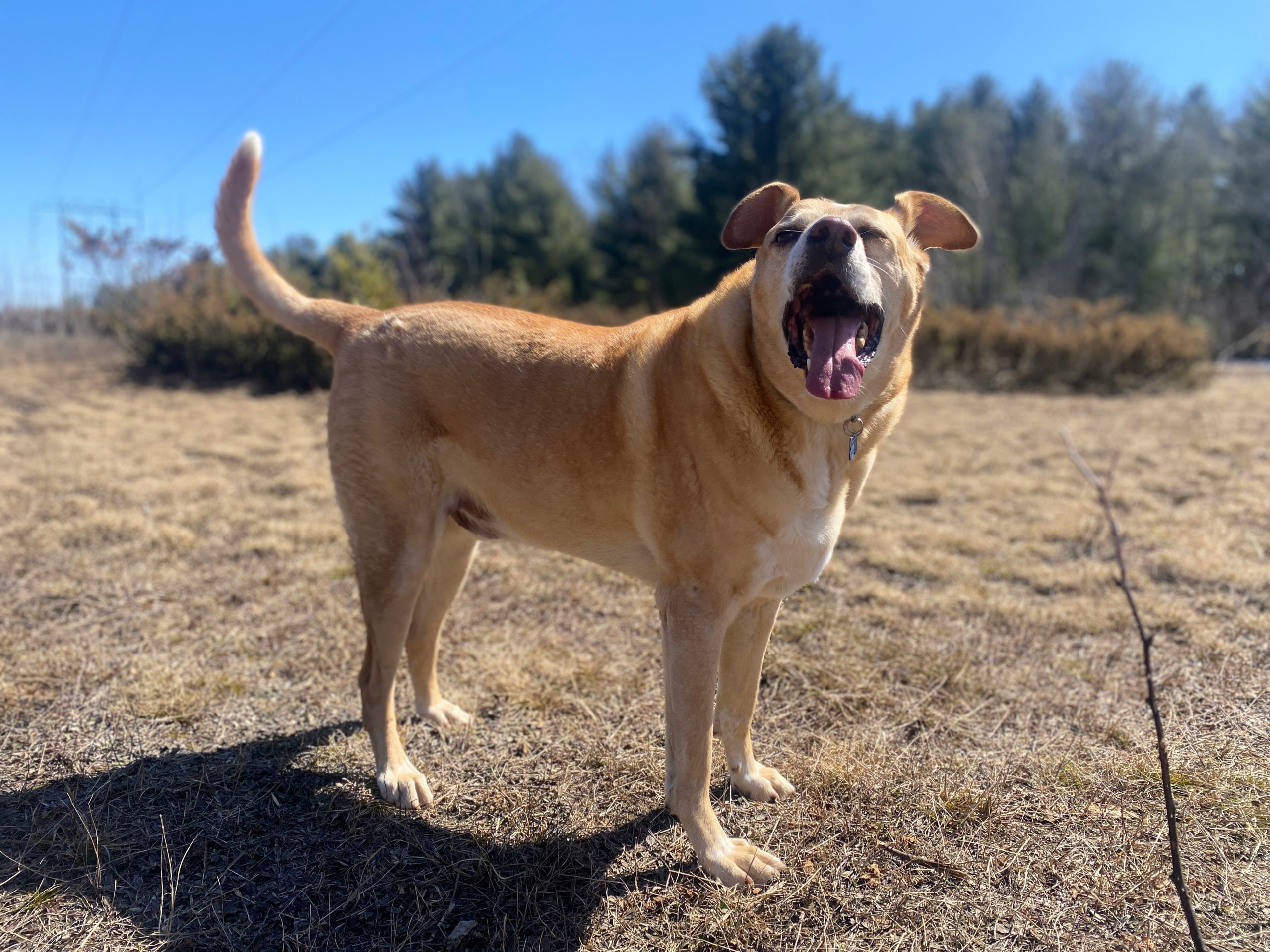 Stefan Buchholz DOT com