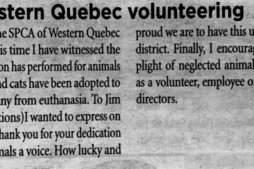 Aylmer Bulletin