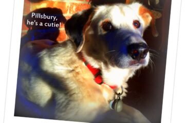 Pillsbury, he's a cutie!