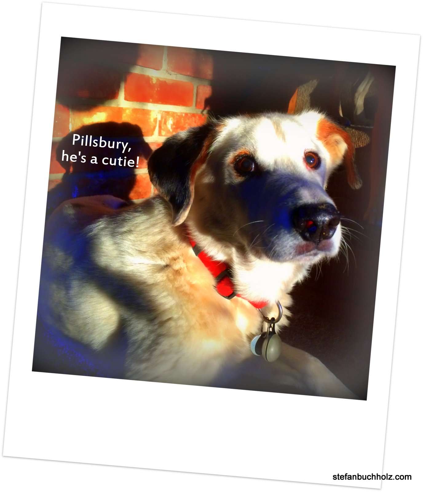 Pillsbury, he's a cutie!