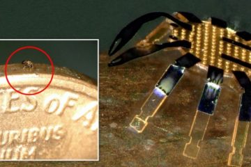 Tiny Robotic Crab