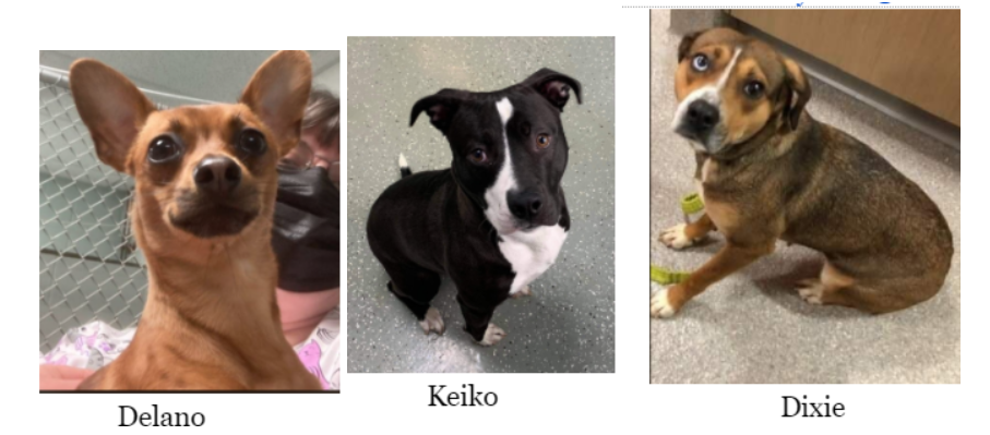 Screenshot 2021-04-26 104530