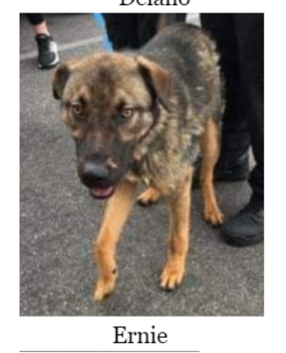 Screenshot 2021-04-26 104546