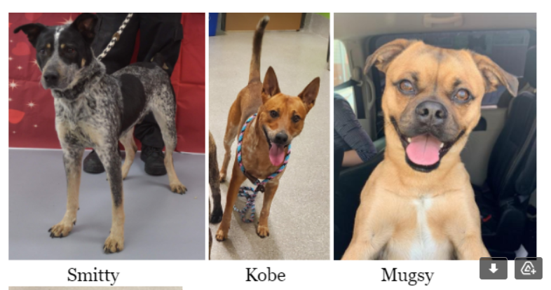 Screenshot 2021-04-26 104600