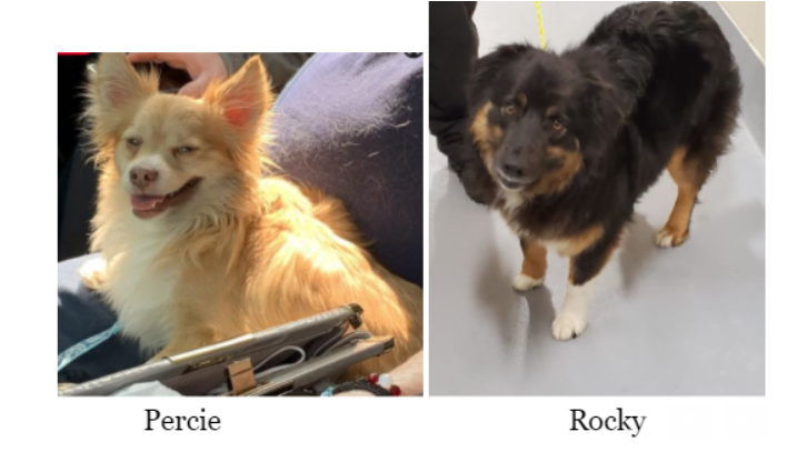 Screenshot 2021-04-26 104613