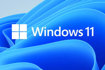 windows 11