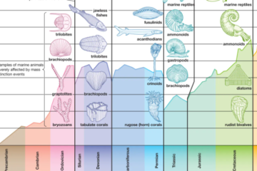Mass Extinction Event