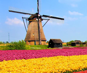 holland
