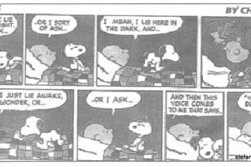 I've had this little cartoon on my desk as far back as i can remember. It's followed me for so long probably because the simple message resonates so strongly with me. Life just isn't that complicated: find what makes you happy and go with it :) !