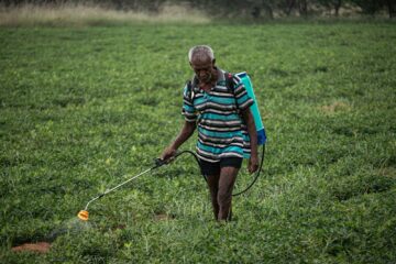 A woman walking through a lush green field