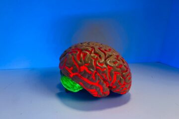 brain figurine