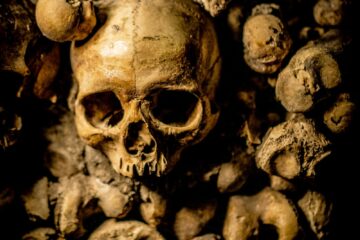 closeup photo of skull