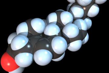 Cholesterol Gene