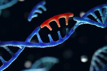 Genetic Mutations