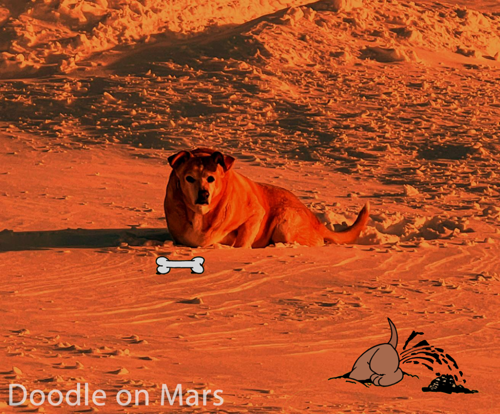Doodle sur Mars