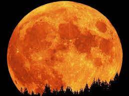 Pumpkin-Orange Full Moon
