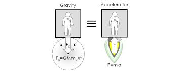 Einstein's Equivalence Principle