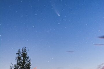 the night sky with stars above a field of tall grass