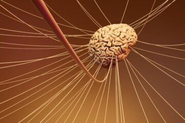 A computer generated image of a human brain
